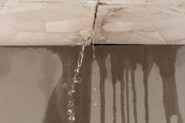 Professional Flood Damage Cleanup technician working in Monticello, IA